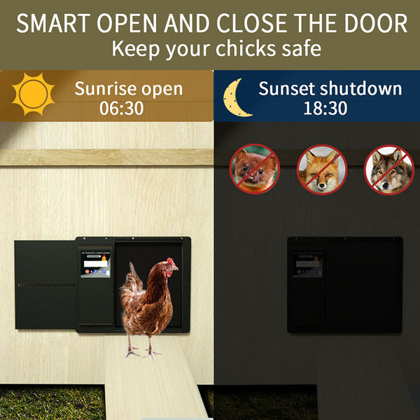 Automatic chicken skin opener with chicken skin - Luxury model - Metal with battery pack, solar cells and easy programming